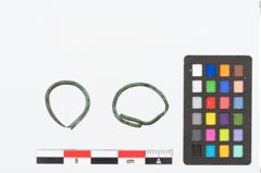 Foto von Bronzering (NHMW-PRAE-026421)
